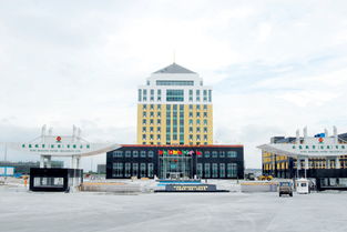 玖龙纸业的介绍