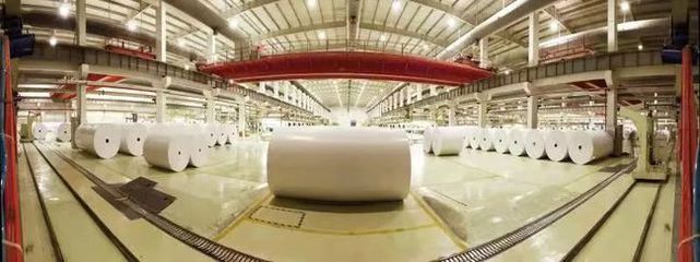 重磅|晨鸣纸业荣获山东省省长质量奖提名奖 彰显行业标杆