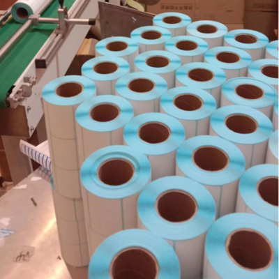 托源纸业 行业匠心与绿色发展的探索