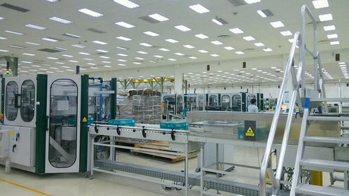 探访新会亚太纸业 绿色制造与产业升级的典范