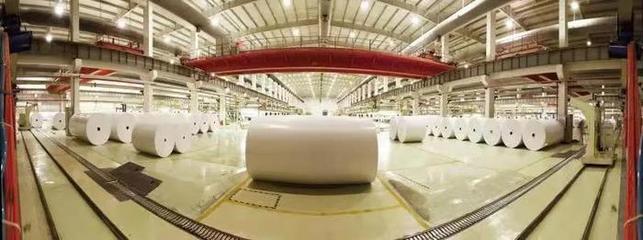 重磅|晨鸣纸业荣获山东省省长质量奖提名奖